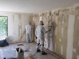 Mold Documentation for Insurance Claims in Blackwood, NJ